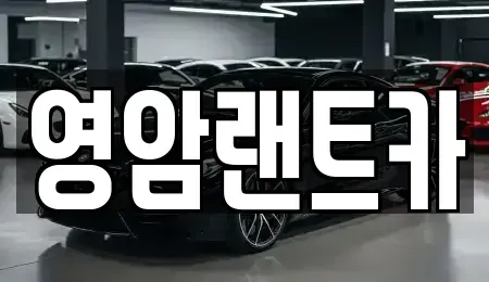 전남 영암군 영암읍 렌트카 전문 영암랜트카