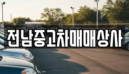 전라남도 영광군 홍농읍 중고차 전문 전남중고차매매상사