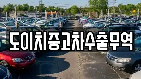 전북 임실군 신평면 중고차 전문 도이치중고차수출무역