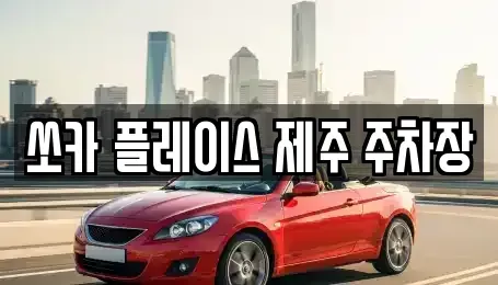 제주특별자치도 서귀포시 성산읍 렌트카,단기렌트카,장기렌트카,중고차,중고차매매,중고차매입