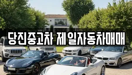 충남 당진시 행정동 중고차,렌트카,중고차매입,중고차매매,장기렌트카,단기렌트카