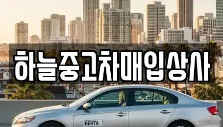 충남 당진시 행정동 중고차매입 전문 하늘중고차매입상사