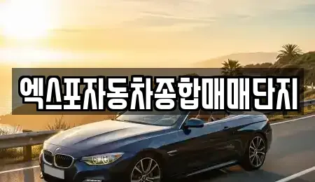 충북 청주시 청원구 오동동 중고차매매 전문 엑스포자동차종합매매단지