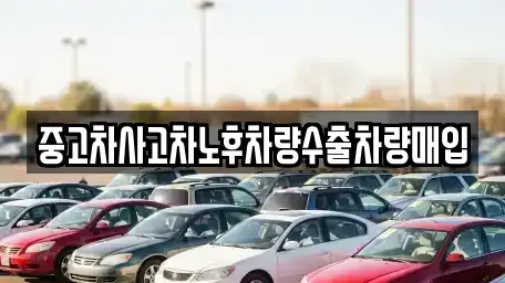 충북 청주시 청원구 오동동 중고차매입 전문 중고차사고차노후차량수출차량매입